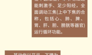 八段锦新热潮：动静之间，探寻养生新境界