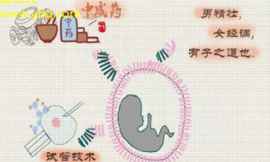 中医调理新解解惑助育，健康生儿！