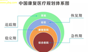 大病新解最新康复技术与策略