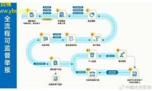 大病新解最新治疗方案与康复技巧