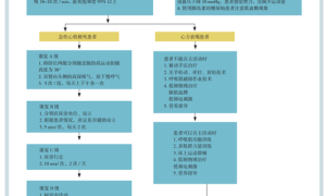 大病治疗新方向突破限局，患者康复新方案