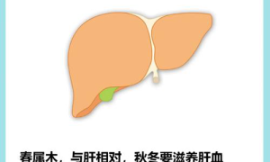 肝病新解解郁降胆，重塑肝脏健康！