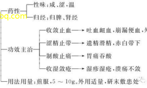 中医经方新突破精準调经，提升治疗效果