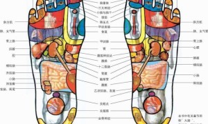 国医大师张凤武个人资料及擅于治疗的疾病