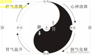 太极养生新潮流：探索太极与现代生活的和谐融合之道