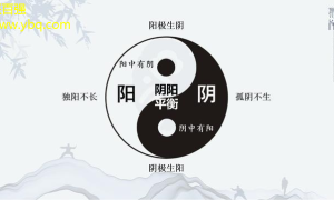 太极养生新热潮：揭秘太极与现代生活的和谐共舞