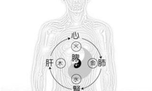 太极养生新热潮：调和身心，探索太极哲学下的健康生活秘诀