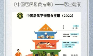 最新健康趋势：从饮食到运动，探索健康生活的全方位指南