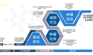 小病调理新方向基于AI的个性化调理方案