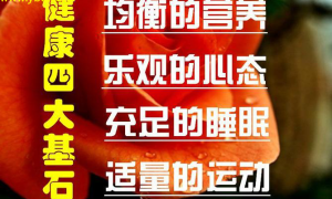 小病调理新理念解困养生，健康再开花