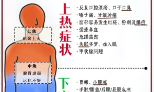 热门小病调理：中医智慧助力健康，摆脱季节性小病困扰