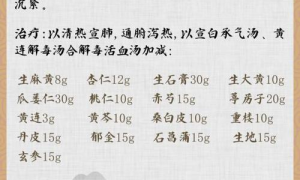 热门中医验方：古法新用，助力健康新篇章