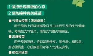 养生新法速效！如何以自然方式提升免疫力？