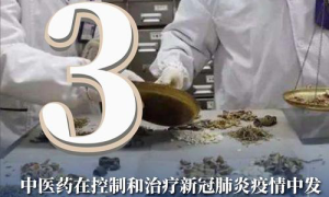 中医抗疫新策略：传统智慧与现代科技的结合