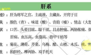 食疗新方向五行平衡，健康新启示