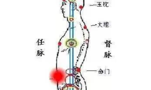 中医新奇事解肌法与养生法合一