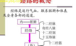 中医养生新版脏腑调衡大法