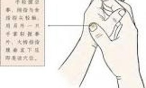 人体穴位之《手三里穴》