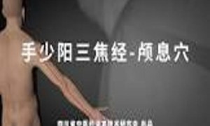 人体穴位之《颅息穴》