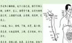 人体经络之《手太阳小肠经》