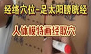 人体经络之《足太阳膀胱经》