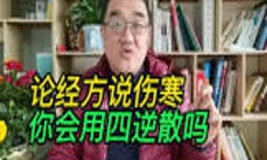 伤寒论经方《四逆散》