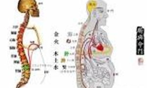 偏执性精神障碍中医辩证的可能病因，治疗可用的伤寒论经方、针炙的穴位及其他可用的中医治疗方法