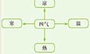 日常菜甜椒的中医药用的性味归经