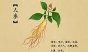 火腿的中医药性味归经、药用价值及营养价值