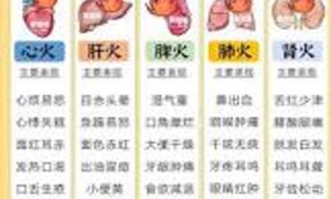 瓜果肉蔬金钱展的中医药性味归经、药用价值及营养价值