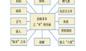 白化病中医辩证的可能病因，治疗可用的伤寒论经方、针炙的穴位及其他可用的中医治疗方法