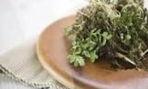 蝴蝶鱼的中医药性味归经、药用价值及营养价值