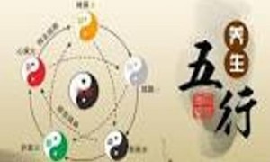 金匮要略经方《半夏瀉心湯》