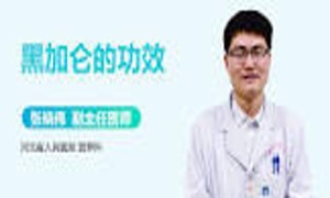 黑加仑的中医药性味归经、药用价值及营养价值